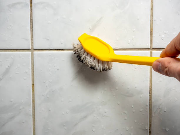 Best Post-Flood Mold Remediation in Seaside Park, NJ