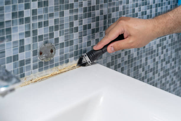 Best Kitchen Mold Remediation in Seaside Park, NJ